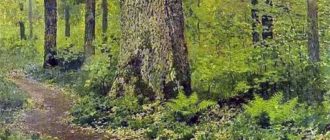 Описание картины Исаака Левитана "Тропинка в лиственном лесу"
